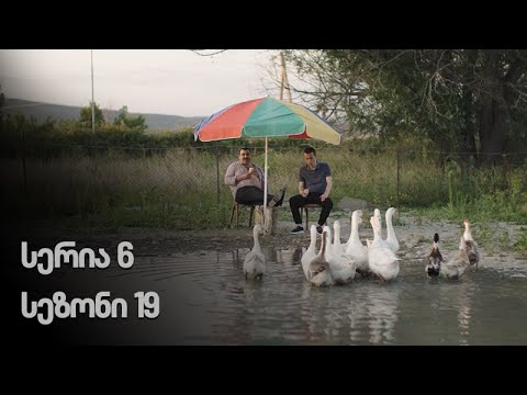 ჩემი ცოლის დაქალები - სერია 6 (სეზონი 19)