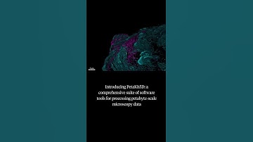 New suite of software tools enables scientists to process huge amounts of #microscopy data #science