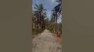 (" فدعا ربه أني مغلوب فانتصر ") || سورة القمر | الشيخ ياسر الدوسري