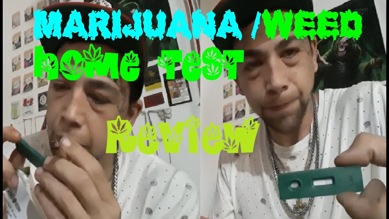 Dollarstore Home Marijuana Test, Cannabis Home Test Review dollarama