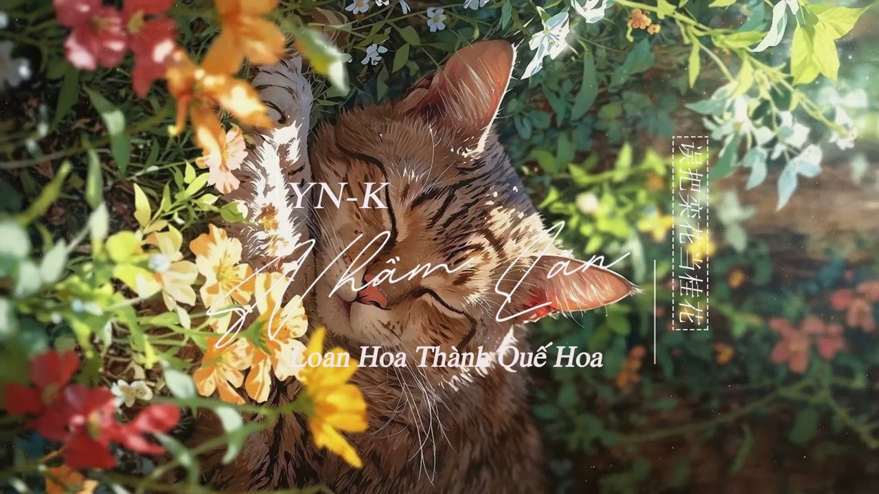 ♬[Vietsub] Nhầm Lẫn Loan Hoa Thành Quế Hoa/YN-K ___ 误把栾花当桂花