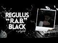 ❝Bitter Are The Wars Between Brothers❞ - a regulus black playlist
