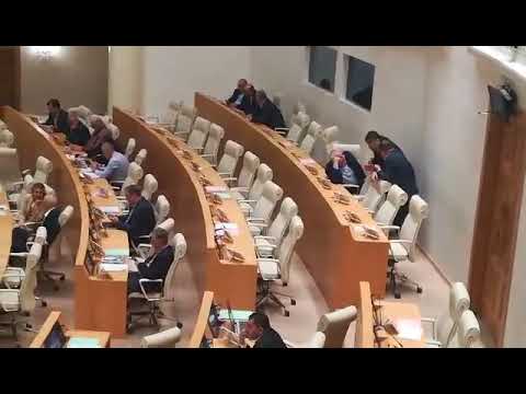 ნინო ლომჯარიას მოხსენებით გამოსვლა ცარიელ დარბაზში უწევს