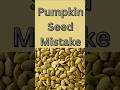 Pumpkin Seed Mistake #shorts #seeds #health