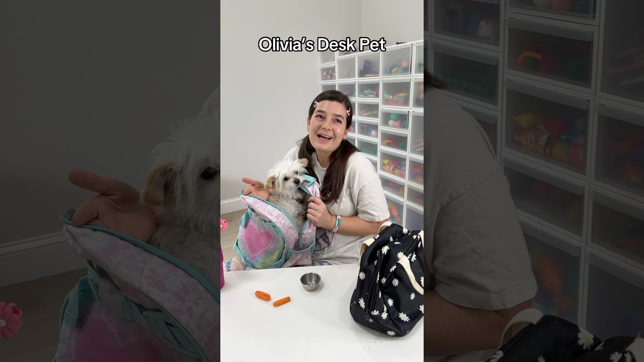 Olivia’s Desk Pet *surprise ending* 