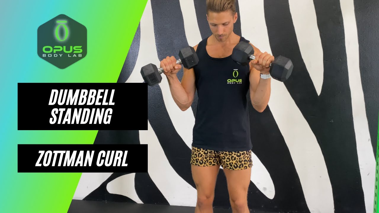 Dumbbell Standing Zottman Curl YouTube