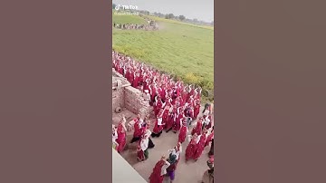 baba mohan ram status 2020 jai baba mohan ram |NEW2020|