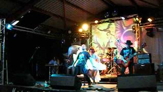 PYSCHEDELIC WARLORDS live SONIC ROCK SOLSTICE 2013 PT2