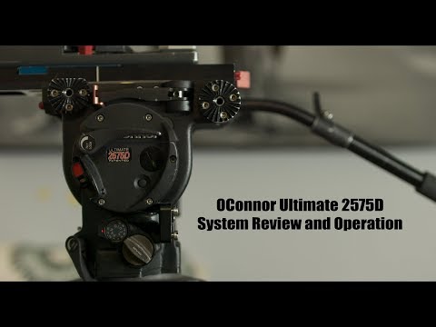 Video: O'Connor Dilecehkan