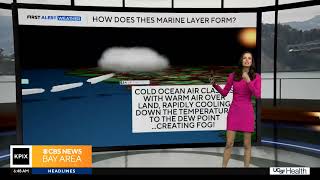 Zooming with Zoe: WHY is the Bay Area so foggy in the summer? The science behind fog formation
