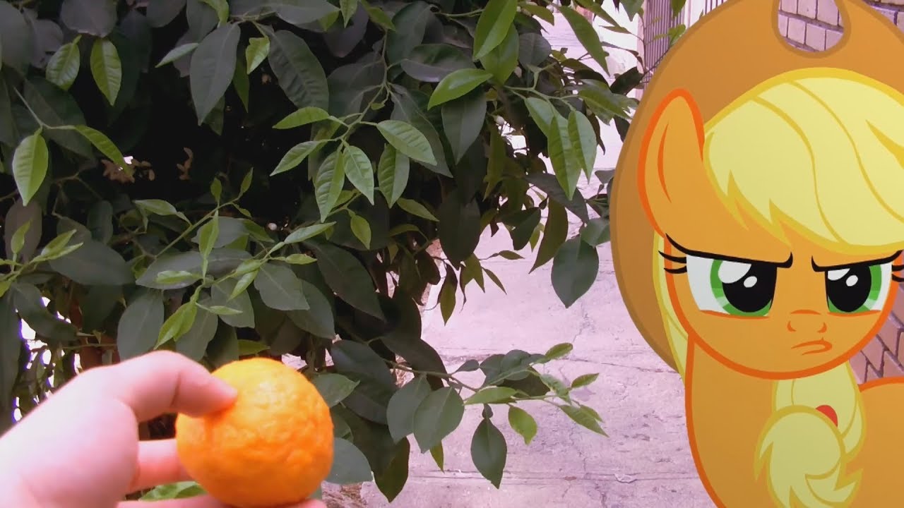 Harvest Helper [MLP In Real Life]