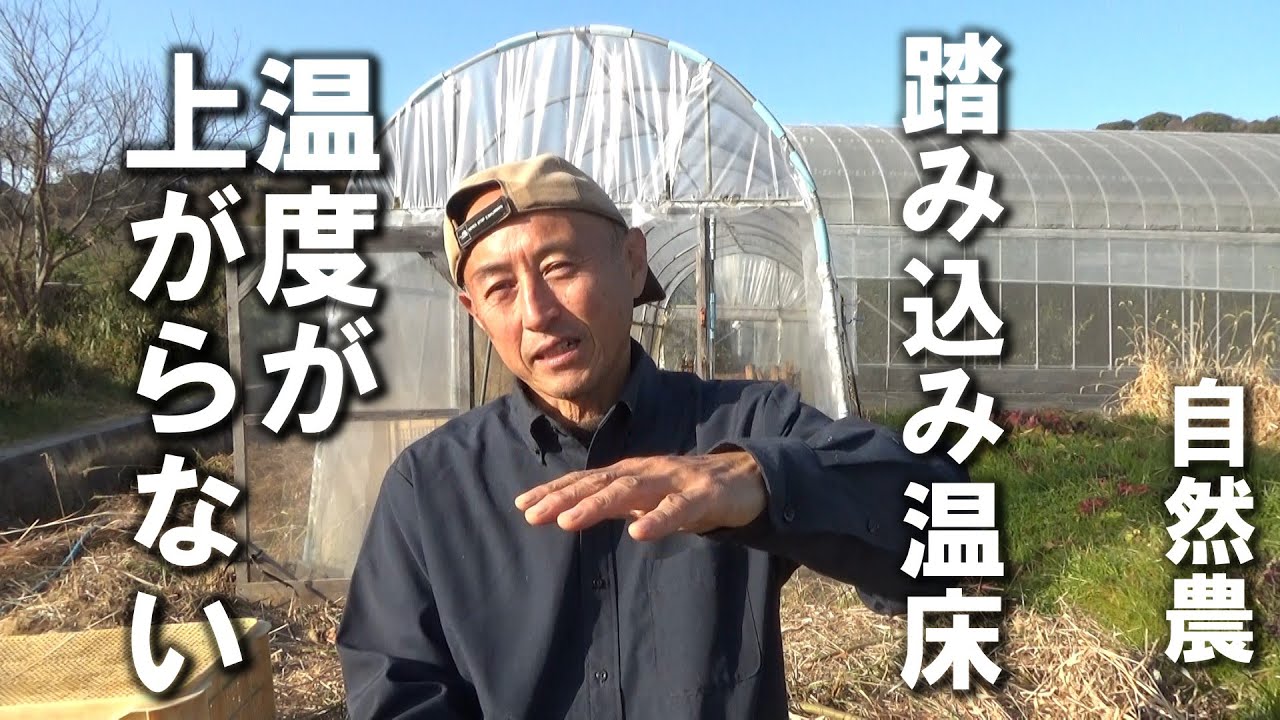 【自然農】「踏み込み温床」の温度が上がらない時の対処法　2026年1月17日【natural farming】