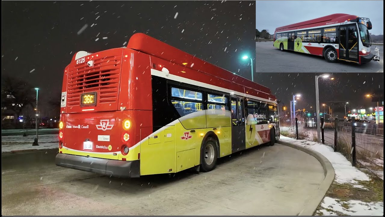 TTC 36C Finch West Before Line 6 Opening: Humberwood via Humber College to Finch West Stn 12/3/2025