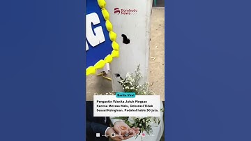 DRAMA PERNIKAHAN! Pengantin Wanita Pingsan Lihat Dekorasi 30 Juta, Zonk!