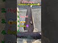 Top 5 Viral Monkey Moments 😂🐒