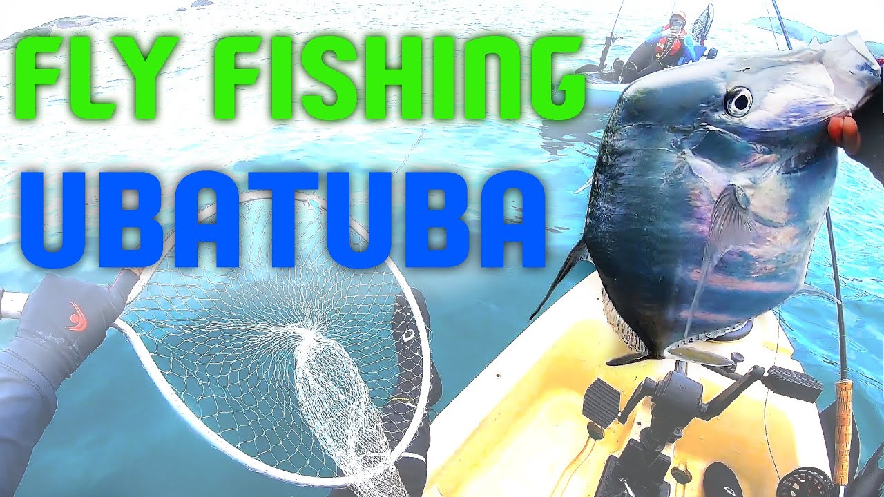 Pescaria produtiva de Fly Fishing no Mar