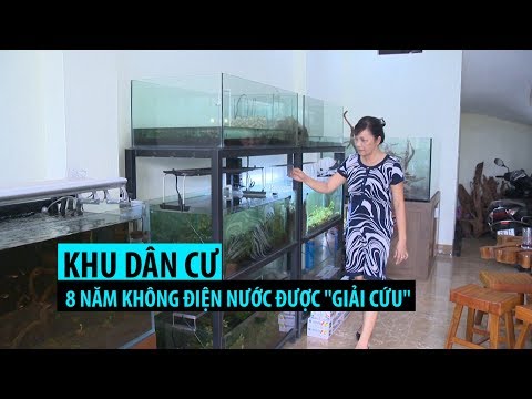 Video Khu dân cư Vạn Phúc 8 năm không điện nước ở Hà Nội... - youtube