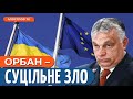 Вступ України в ЄС: більшість угорців за Україну – Орбан диктатор // Томпа