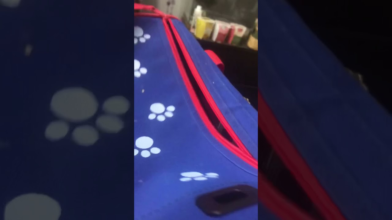 Cutest duckling clip ever, after a good cage cleaning