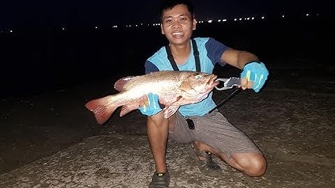 Lure 6 Đường Lên Cá Hồng 1,7kg (tập 76)