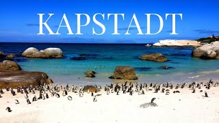 "KAPSTADT REISETIPPS" I Was du vor deinem Kapstadt Urlaub wissen solltest