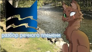 Разбор речного племени|| коты-воители