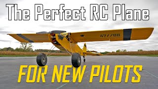 Beginner friendly RC Plane | FliteTest Storch