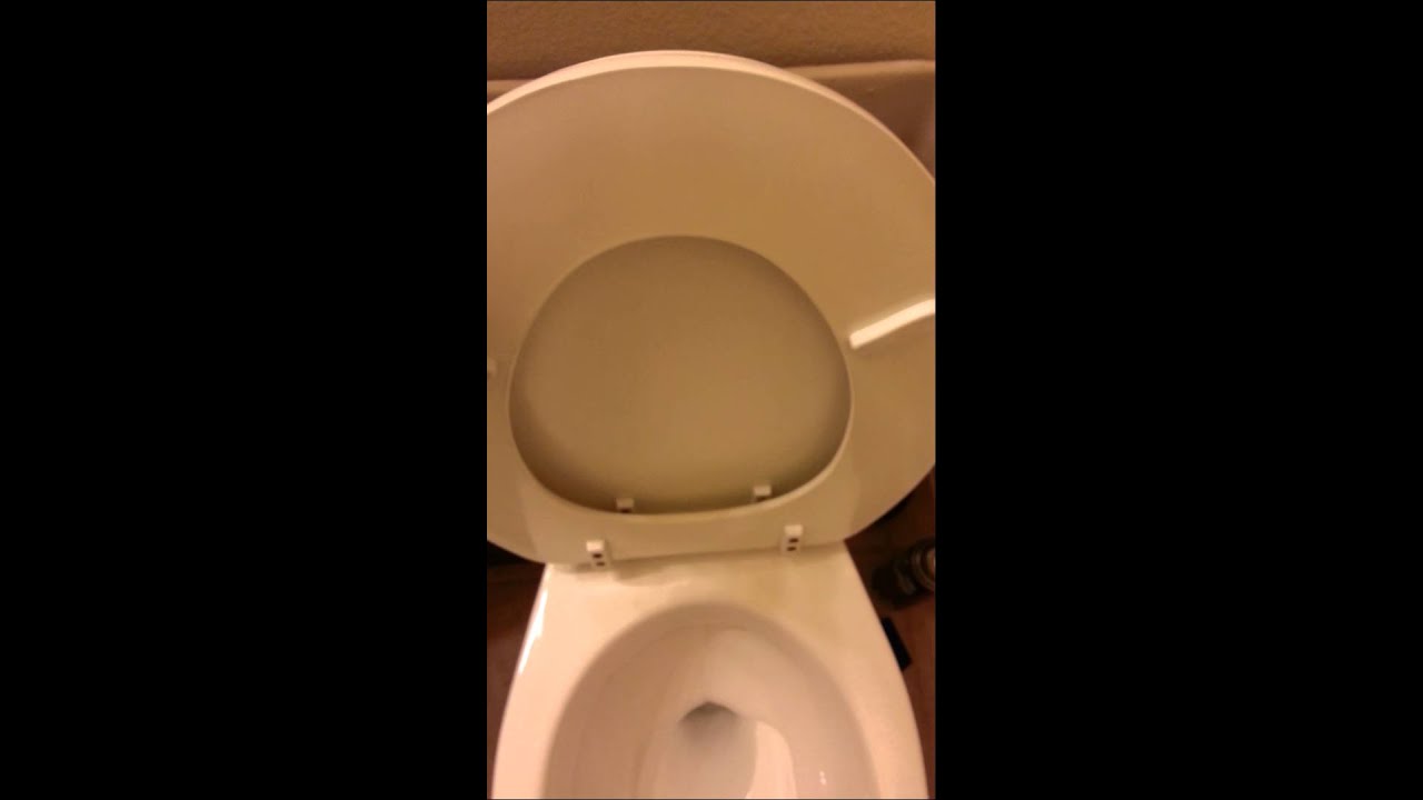 2010 Mancesa by Mansfield Toilet YouTube