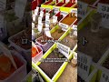 キルギスの物価が安すぎる。 #shorts