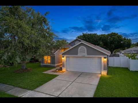 11027 Streamside Drive, Tampa, FL home video tour