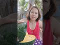 🇵🇭🇧🇪MUKBANG MELON GOLD ANG TAMIS @ 15/KILO ONLY #fruit #mukbang #shorts #vlog #youtubeshorts #video