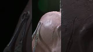 How to Sculpt a Dinosaur: Wax Tool Types and How to Use Them