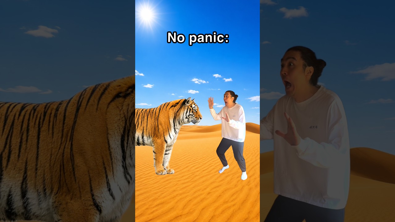 No panic😱🐅 IB: @Sig.slouma #funny #shorts
