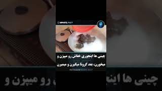 خفاش خوردن چینی ها و کرونا گرفتن.سوپ خفاش. کله پاچه خفاش