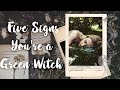 5 signs you are a Green Witch for the Wondering Witch || What kind of Witch are You?