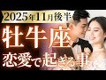 【牡牛座11月後半の恋愛運💗】え。。。強すぎるって❗️圧倒的な最強パワーを手に入れる🥳💪運勢をガチで深堀り✨マユコの恋愛タロット占い🔮