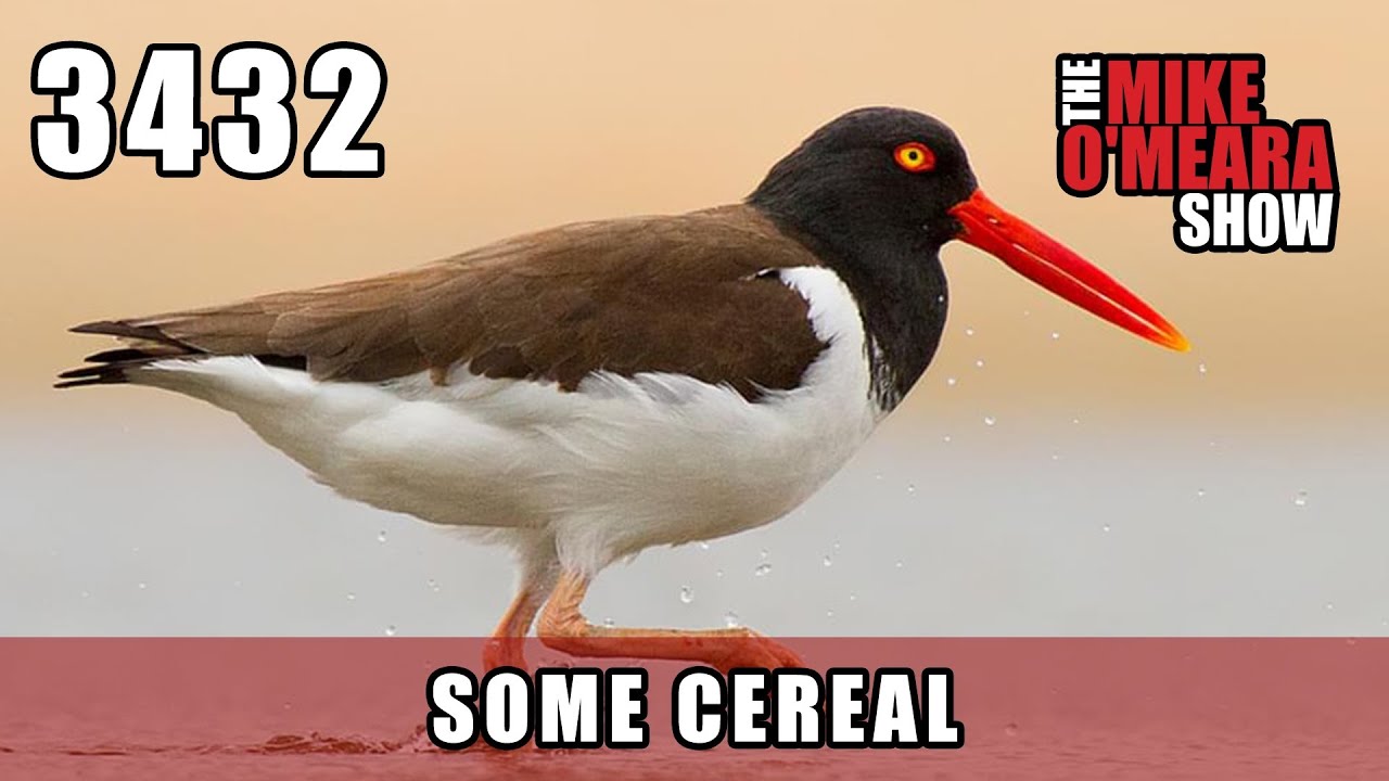 Ep 3432: Some Cereal