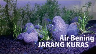 Air Aquarium Bening Terus Walaupun Jarang Kuras