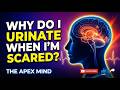 Why We PEE When We're SCARED (It’s Not a Disease) | The Apex Mind Podcast