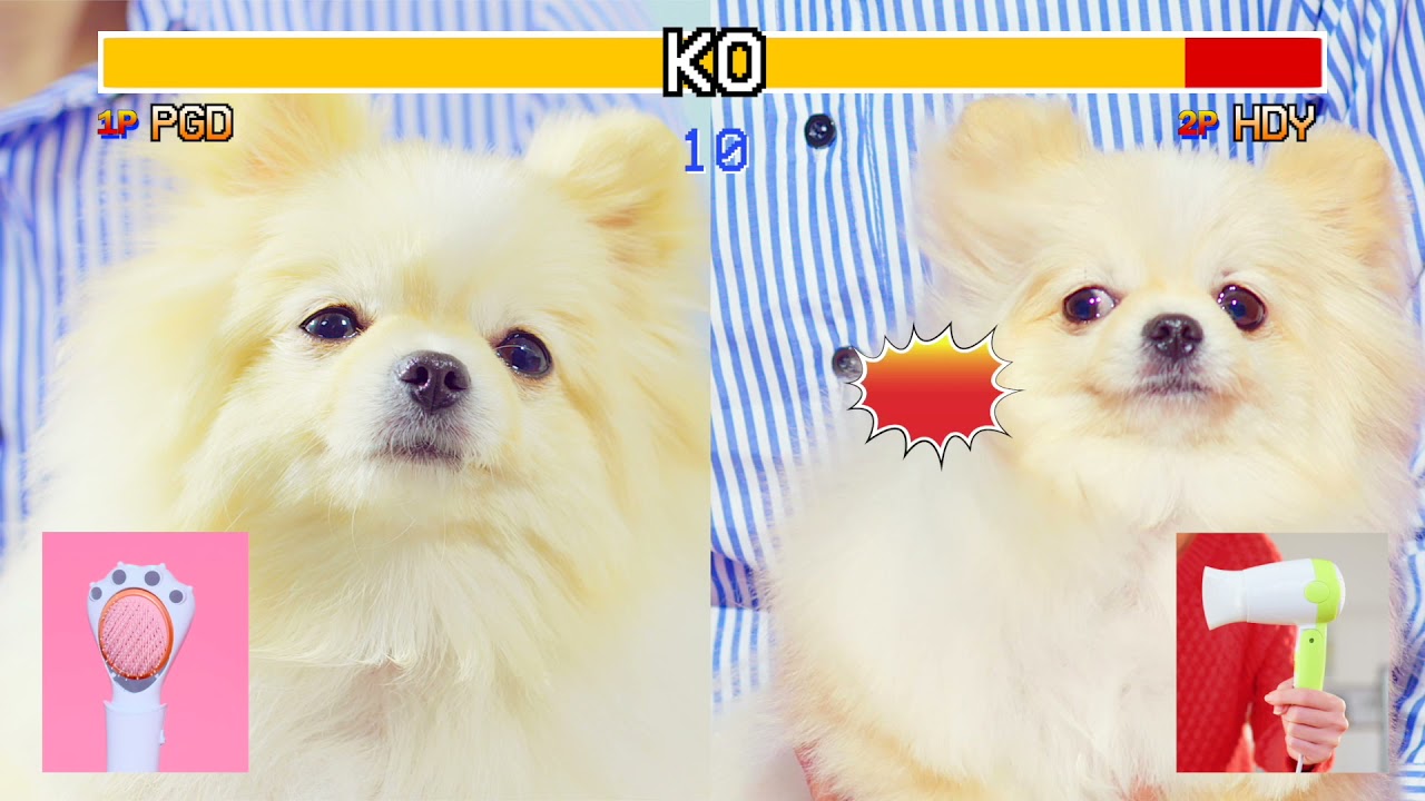 petaum pet dryer vs human dryer