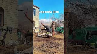 Capoeira Kick #shorts #marsalart