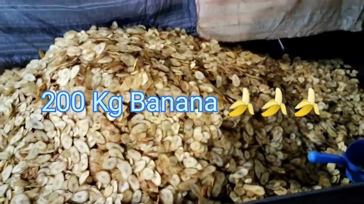 | 200 Kg Banana  WEFERS | amazing Street food | Ve...