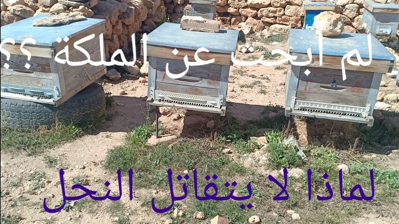 الحلقة 96 بعض التوضيحات حول الحلقة 95 بعنوان التقسيم المختلط.