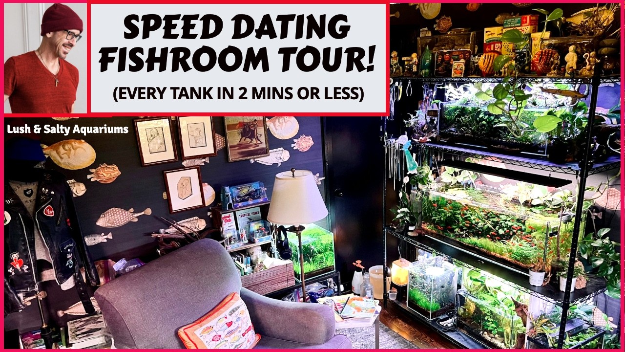 All my Aquariums in 2 mins or less!
