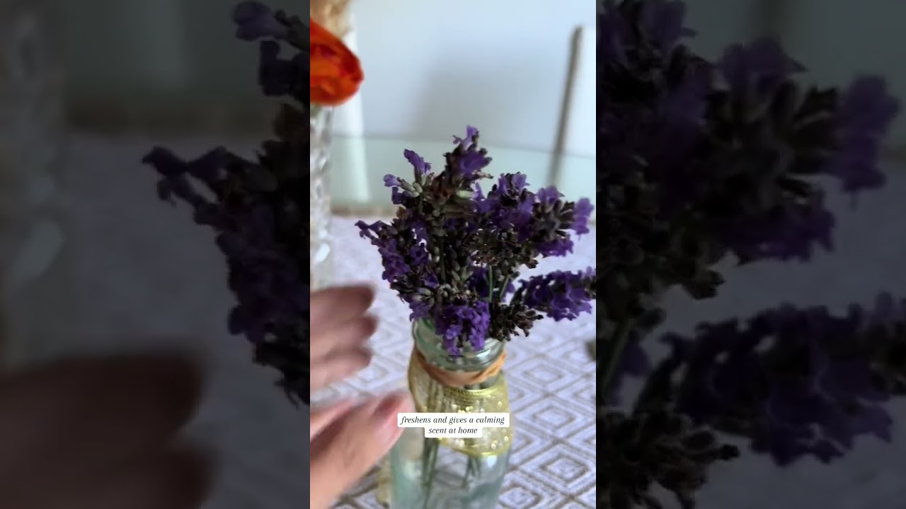 🌿Harvesting homegrown lavender 💜 