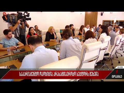 საპარლამენტო ოპოზიცია არასამთავრობო სექტორს შეხვდა