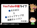 YouTube中継ライブ、ステップアップ式歯磨きのお話と犬のお口のお話！