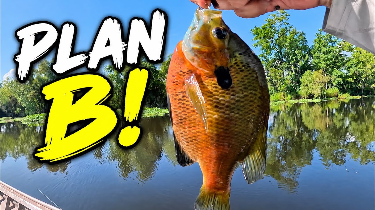 The Bass Said NO… So We Did THIS!