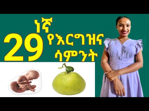 ቪዲዮ: በ29 ሳምንታት ማጠንከሪያ ማግኘት የተለመደ ነው?