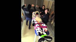 Teaser Besançon IKE 2012.m4v